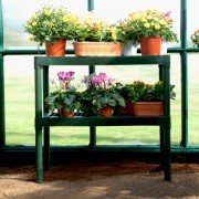 Two Tier Greenhouse Staging Green