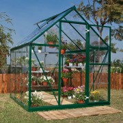Harmony 6x6 - Rustic  Green Small Greenhouse